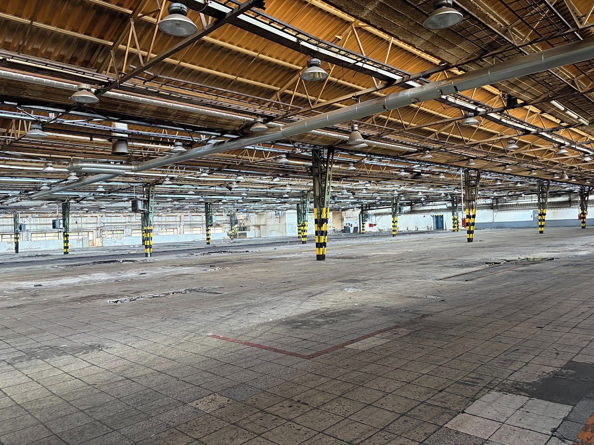 Pronájem pozemku 1500 m² – fotografie 5