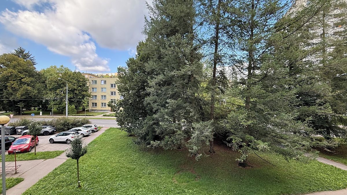 Pronájem bytu 2+1 63 m² – fotografie 4