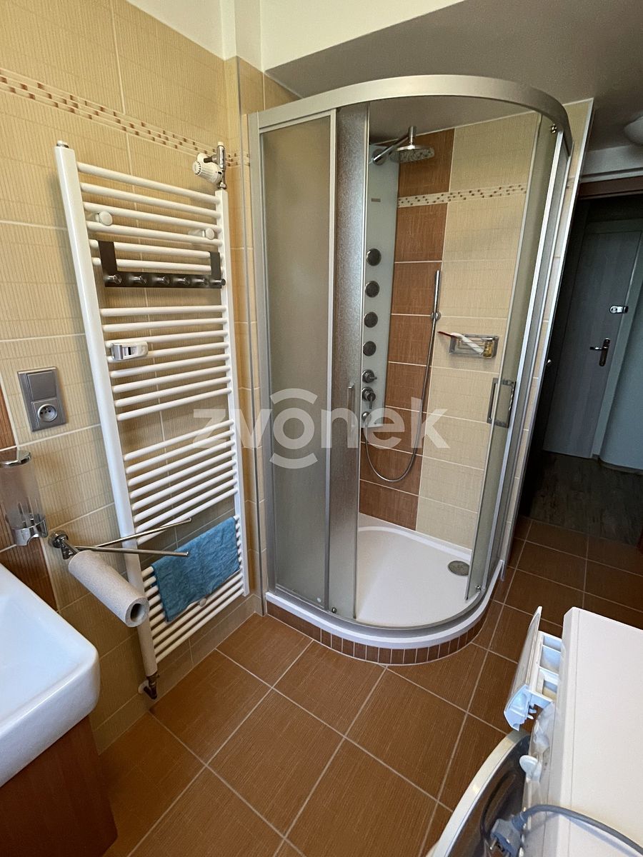 Pronájem bytu 3+1 75 m² – fotografie 3