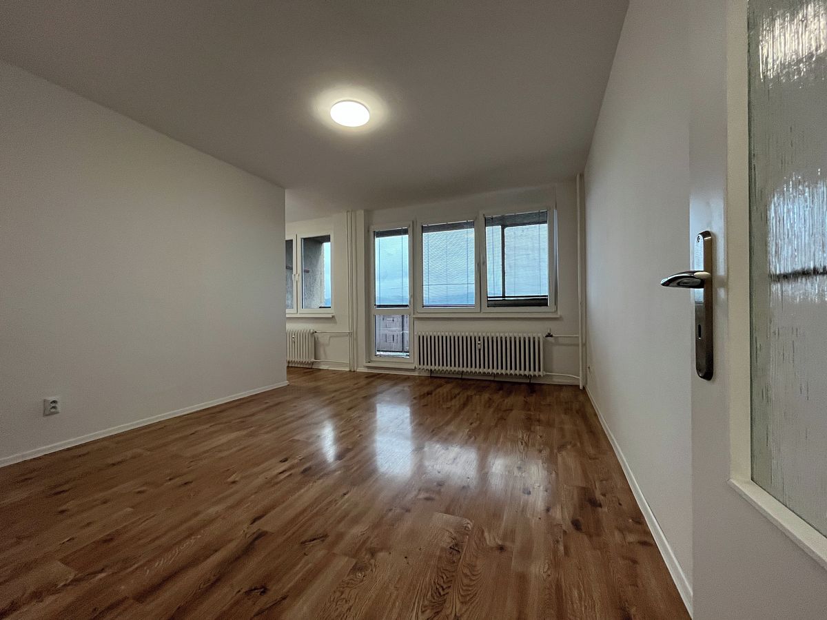 Pronájem bytu 1+kk 44 m² – fotografie 4