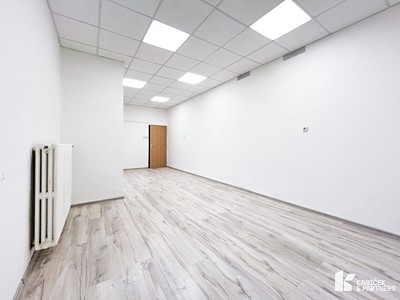 Pronájem komerčního prostoru, 60 m² (3 z 9)