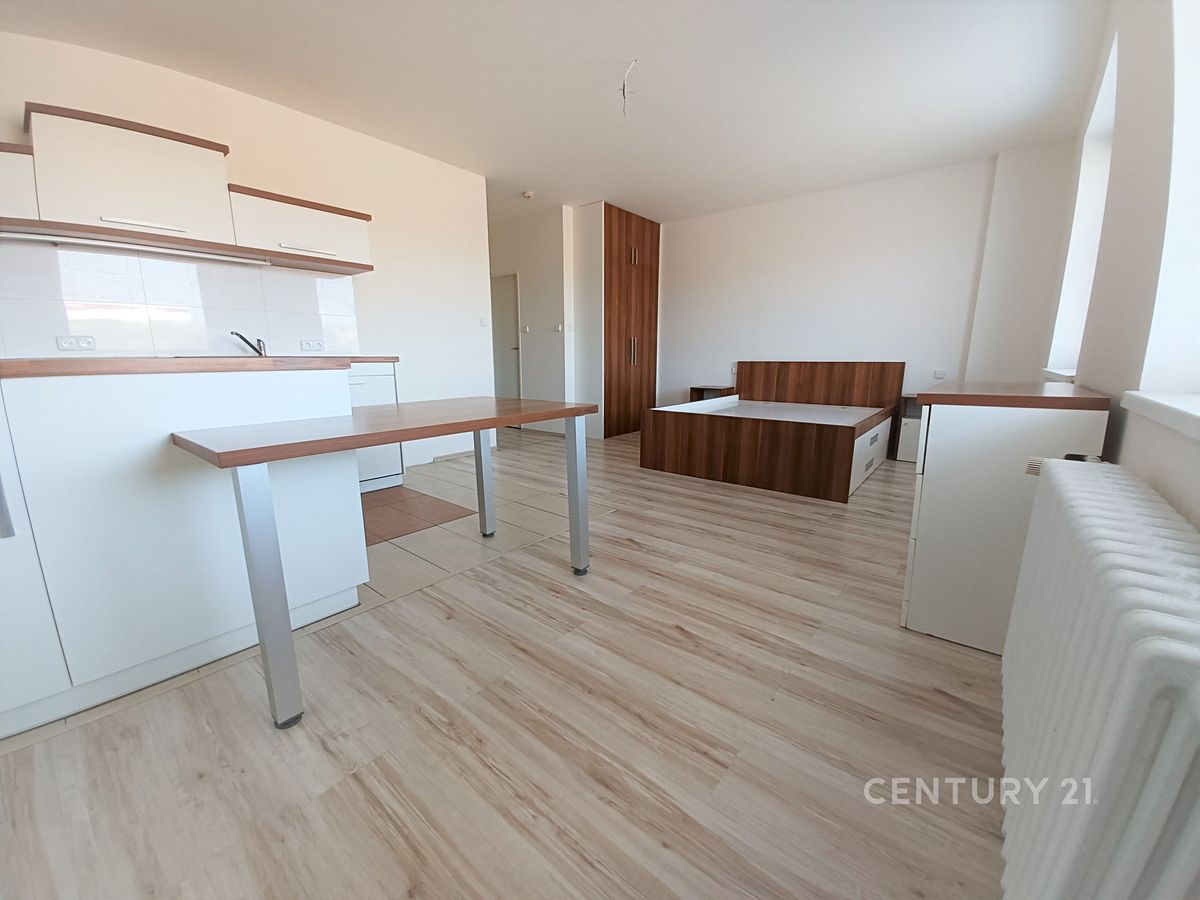 Pronájem bytu 1+kk 36 m² – fotografie 3