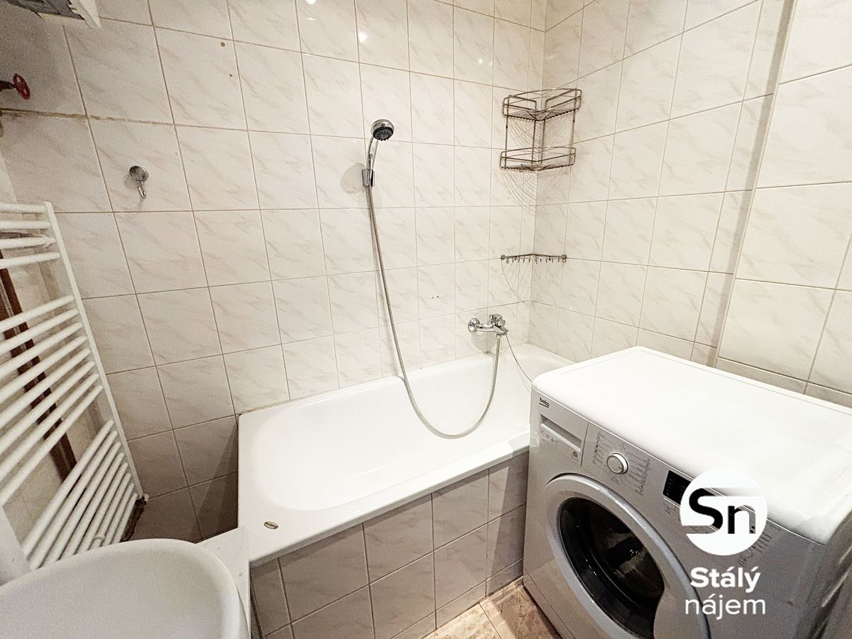 Pronájem bytu 1+1 48 m²