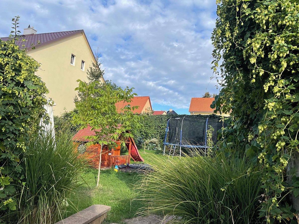Pronájem rodinného domu 160 m², pozemek 600 m² – fotografie 5