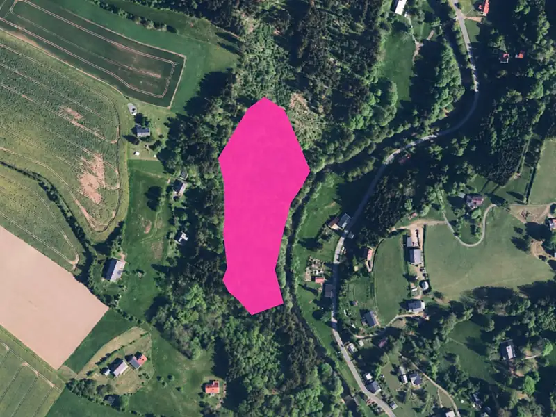 Prodej lesa 19893 m², Klášterec nad Orlicí – náhled fotky 1