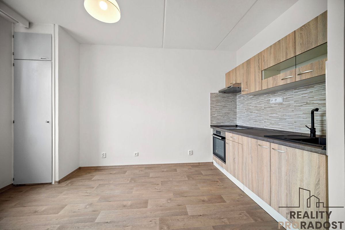 Pronájem bytu 1+1 51 m²