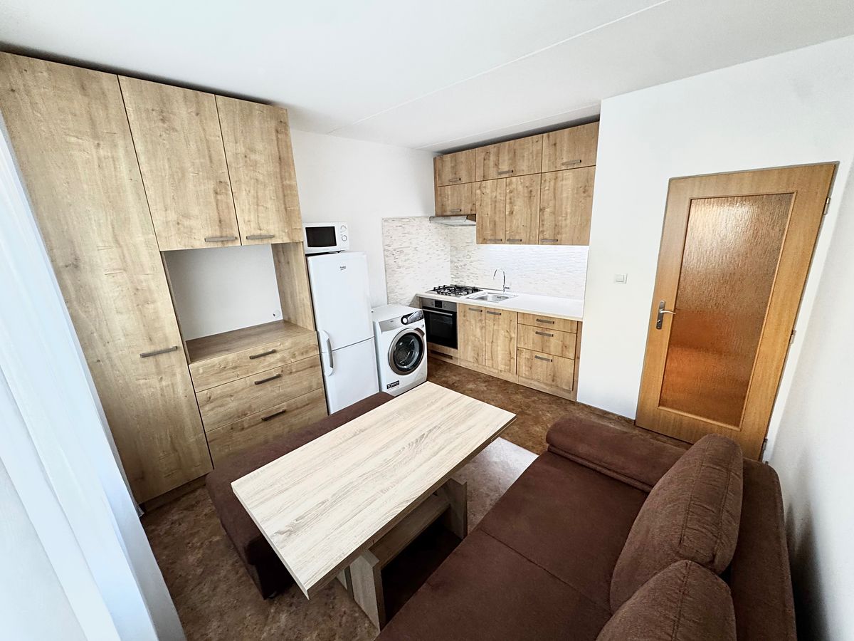 Pronájem bytu 1+1 39 m² – fotografie 3