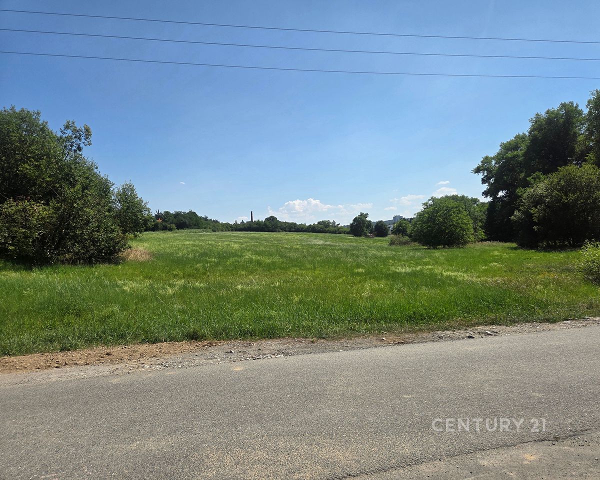 Prodej pozemku 9897 m² – fotografie 3