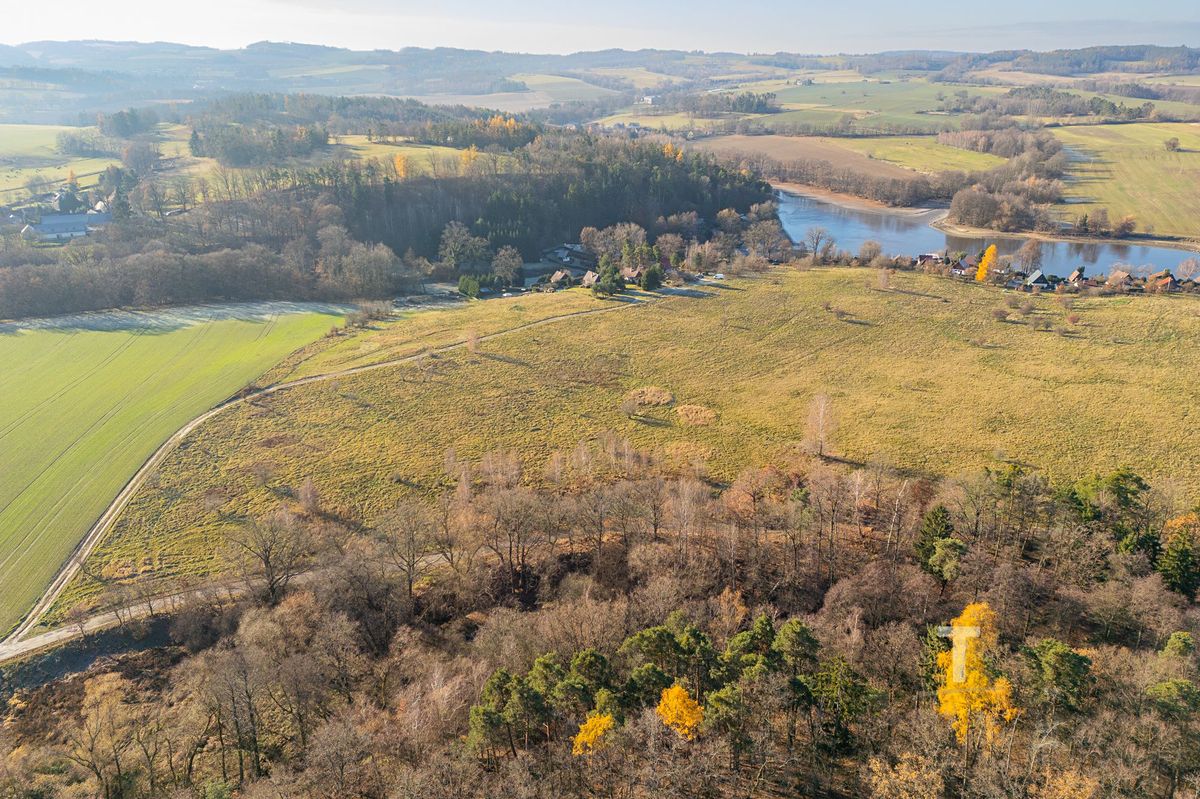 Prodej lesa 19533 m² – fotografie 2