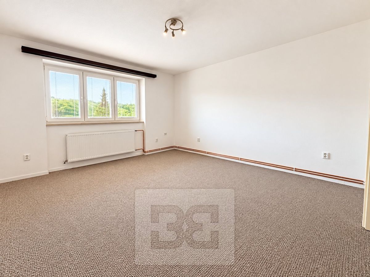 Pronájem bytu 1+kk 29 m² – fotografie 4