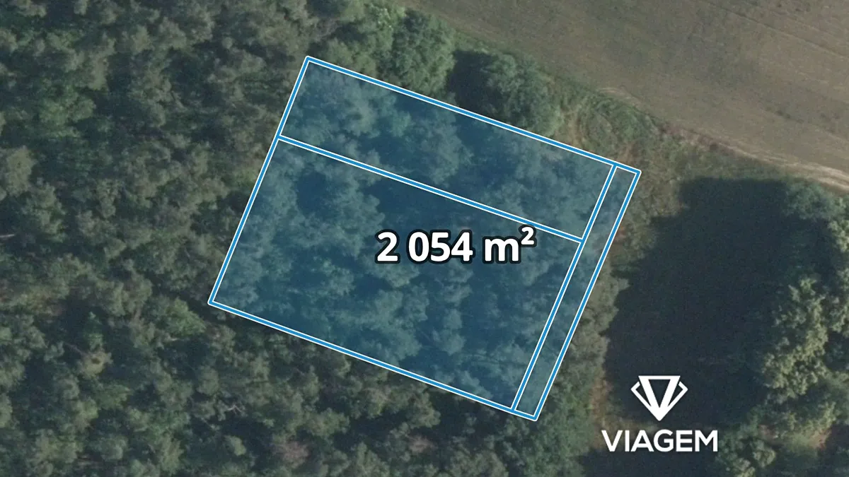Prodej lesa 2054 m²
