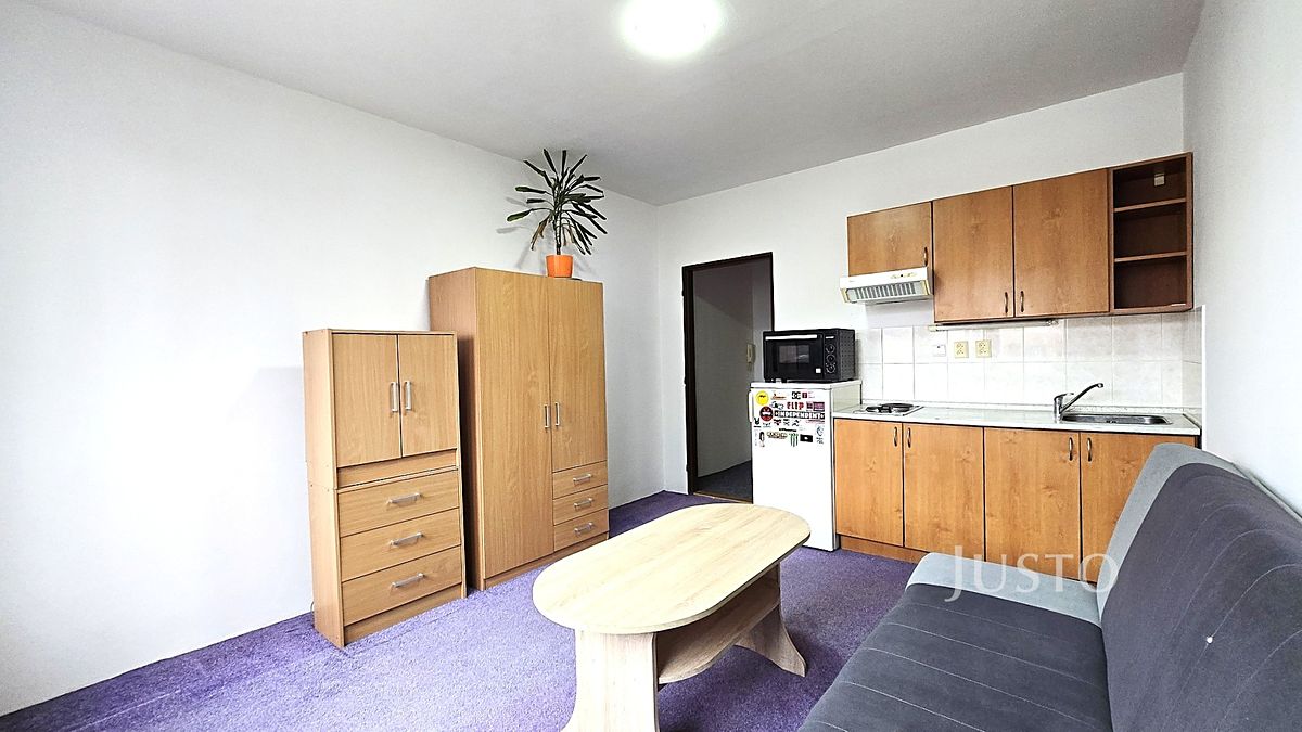 Pronájem bytu 1+kk 20 m²
