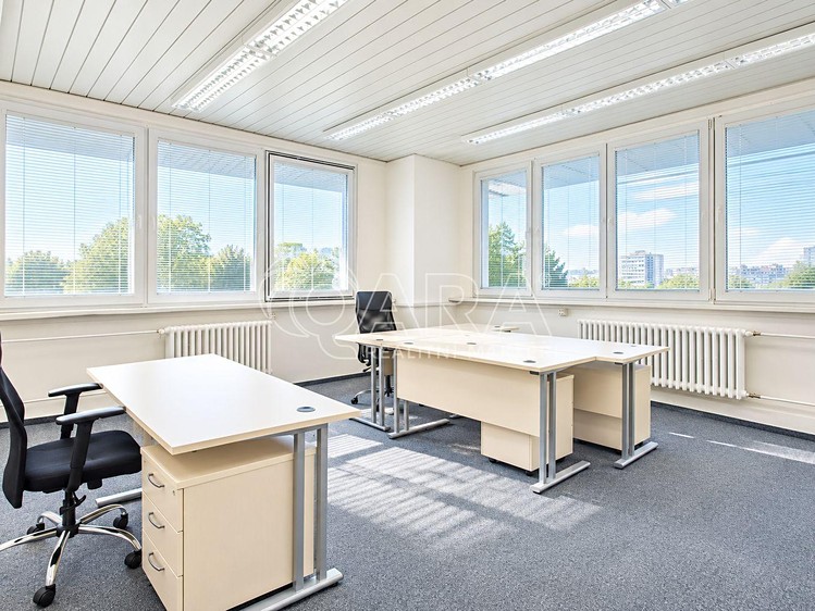 Pronájem komerčního prostoru, 650 m² (1 z 12)