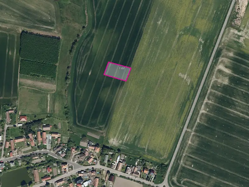 Prodej pole 19647 m², Vlčí Habřina – náhled fotky 2
