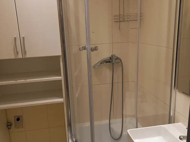 Prodej bytu 2+1 57 m², Brno – náhled fotky 3