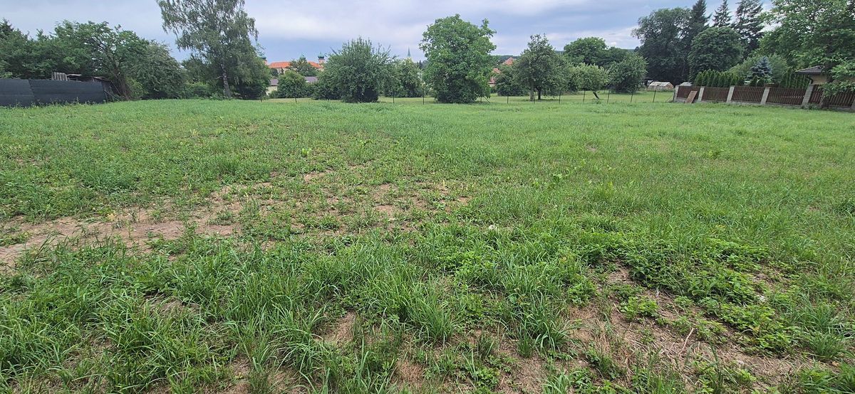 Prodej stavebního pozemku 1923 m² – fotografie 3