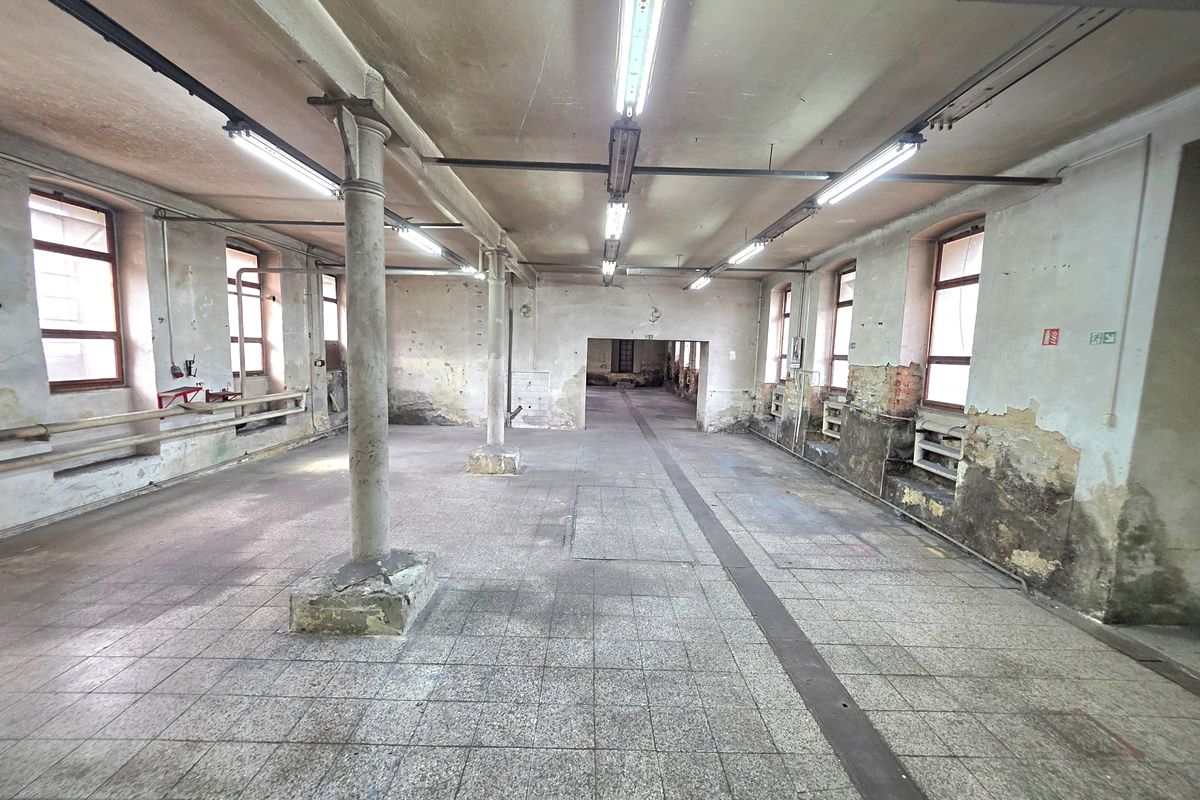 Pronájem výrobní haly, prostoru 3768 m² – fotografie 3