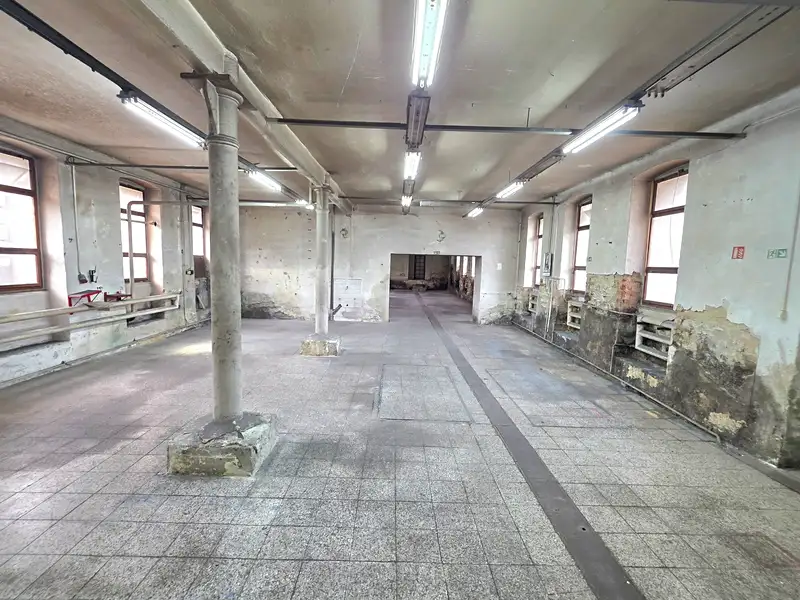 Pronájem výrobní haly, prostoru 3768 m², Březová nad Svitavou – náhled fotky 3