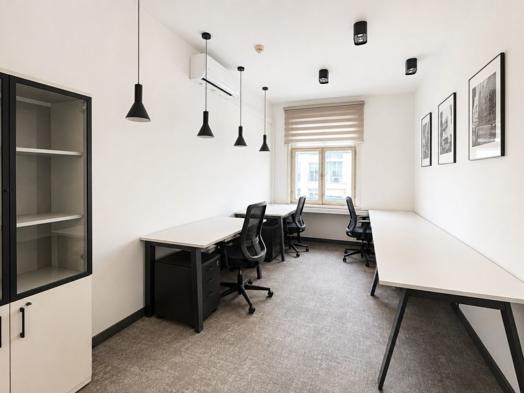 Pronájem komerčního prostoru, 362 m² (4 z 13)