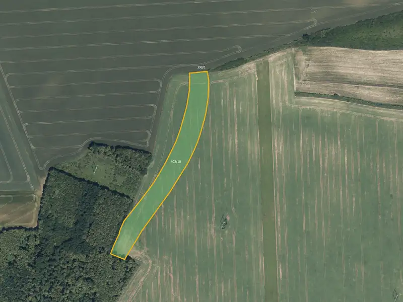 Prodej pole 13951 m², Český Brod – náhled fotky 1