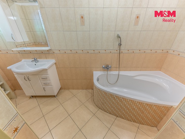 Prodej domu, 450 m² (5 z 30)