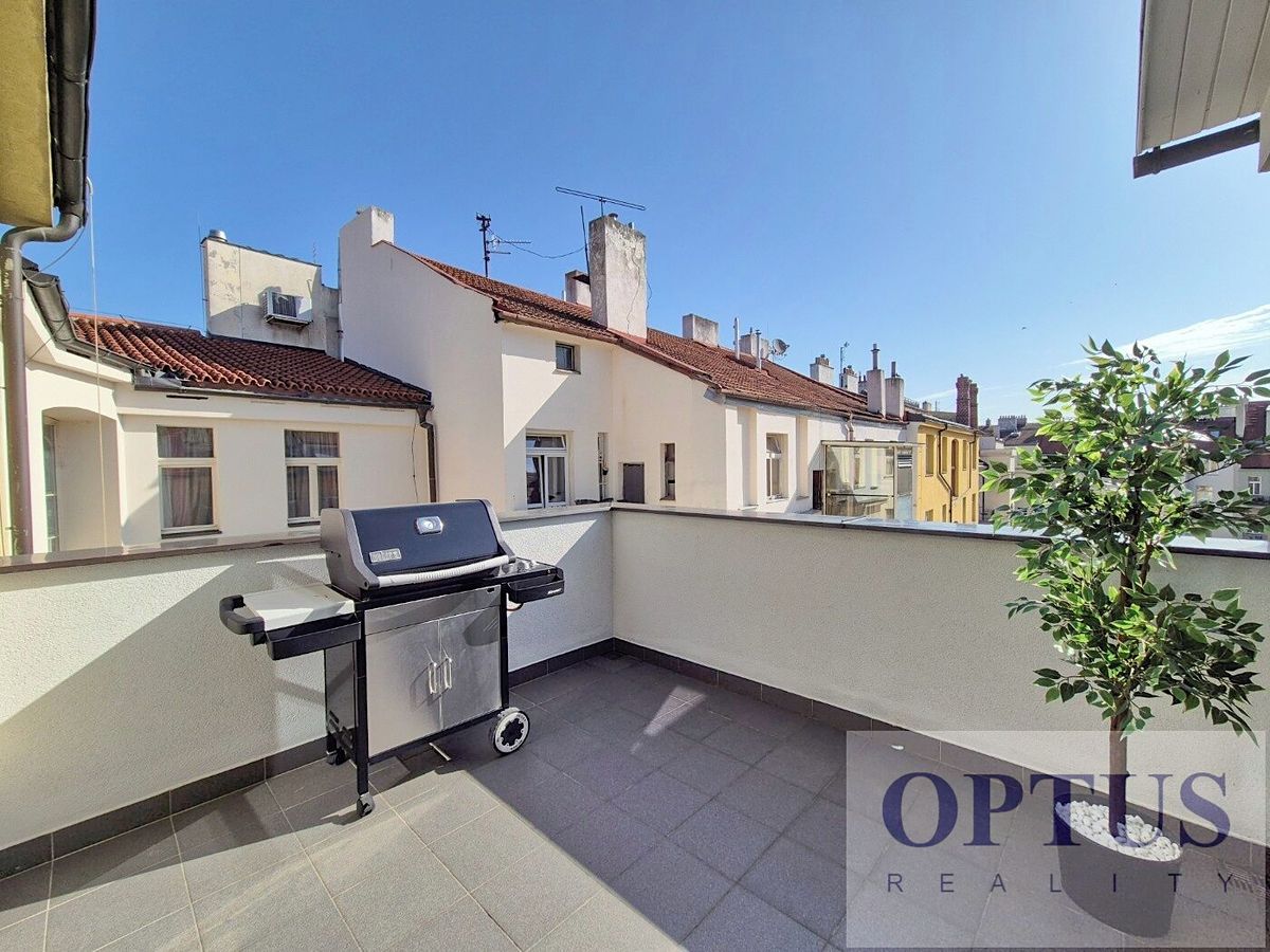 Pronájem bytu 6 pokojů a více 218 m² – fotografie 3