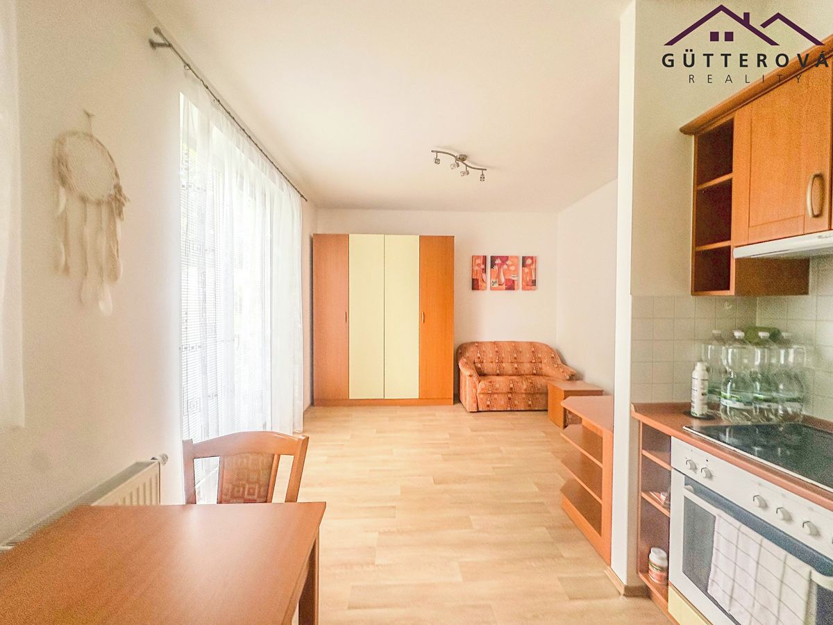 Pronájem bytu 1+kk 25 m² – fotografie 3