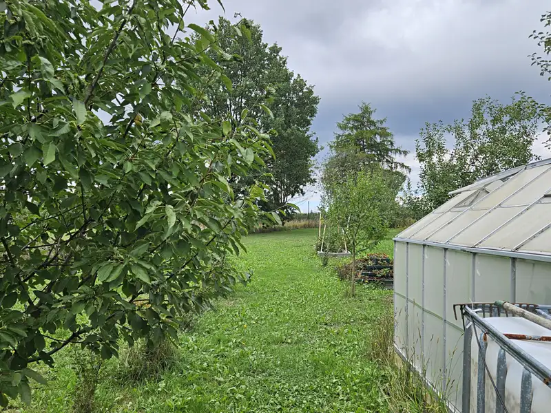 Prodej stavebního pozemku 2288 m², Zbýšov – náhled fotky 2