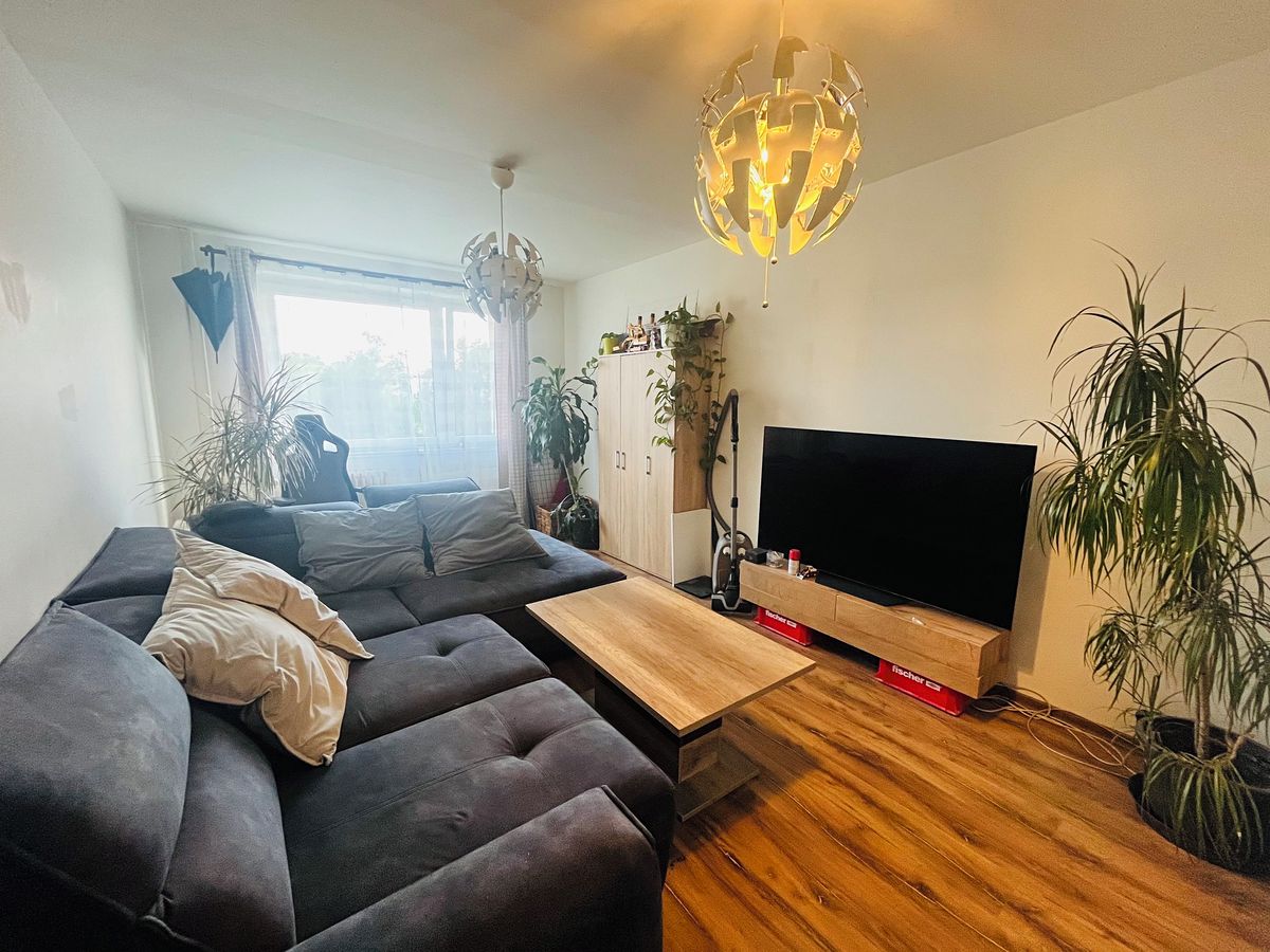 Prodej bytu 3+1 66 m²