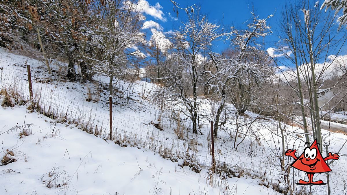 Prodej stavebního pozemku 1372 m² – fotografie 2