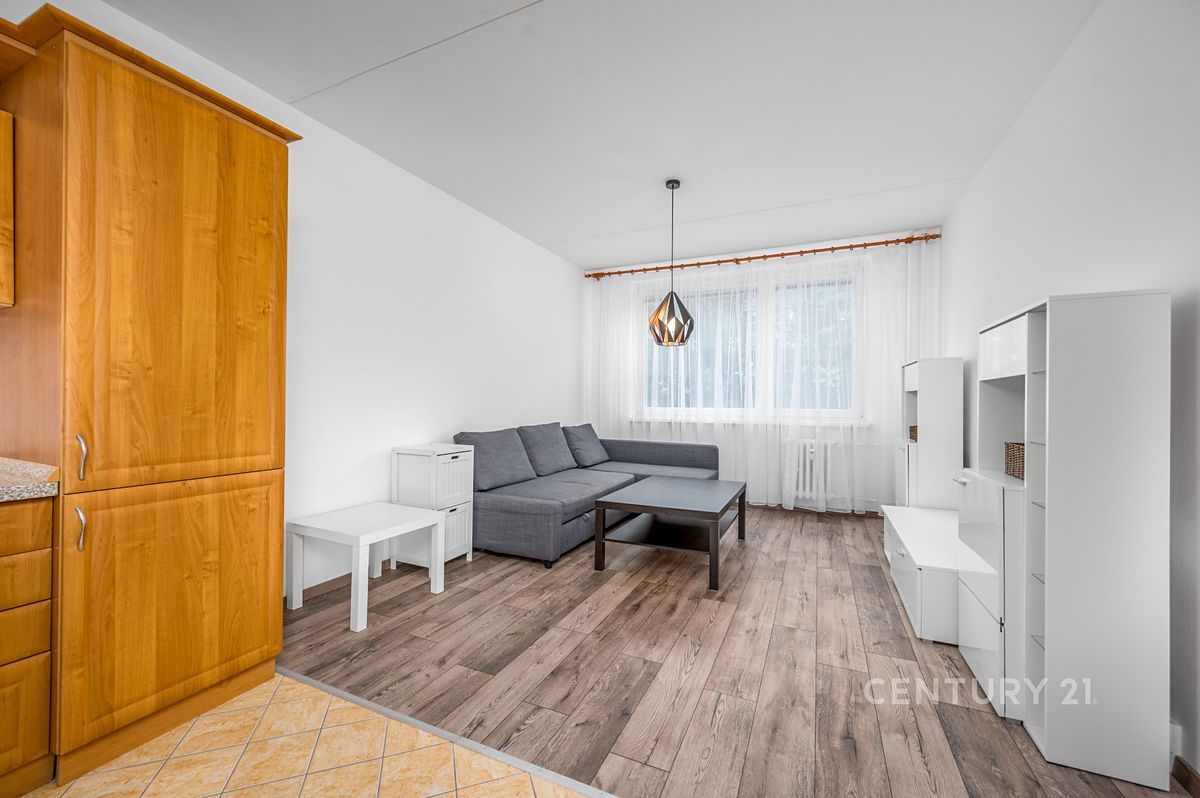 Pronájem bytu 2+kk 41 m² – fotografie 5