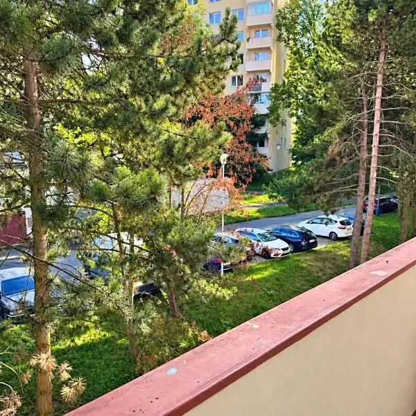 Prodej bytu 2+1 64 m², Jihlava – náhled fotky 3