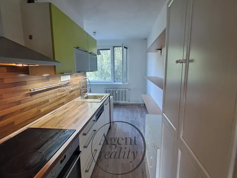 Pronájem bytu 2+1 60 m², Jílové – náhled fotky 3