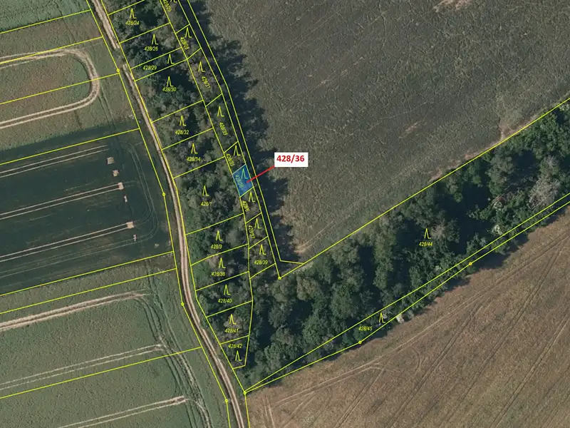 Dražba lesa 68 m², Břežany – náhled fotky 2