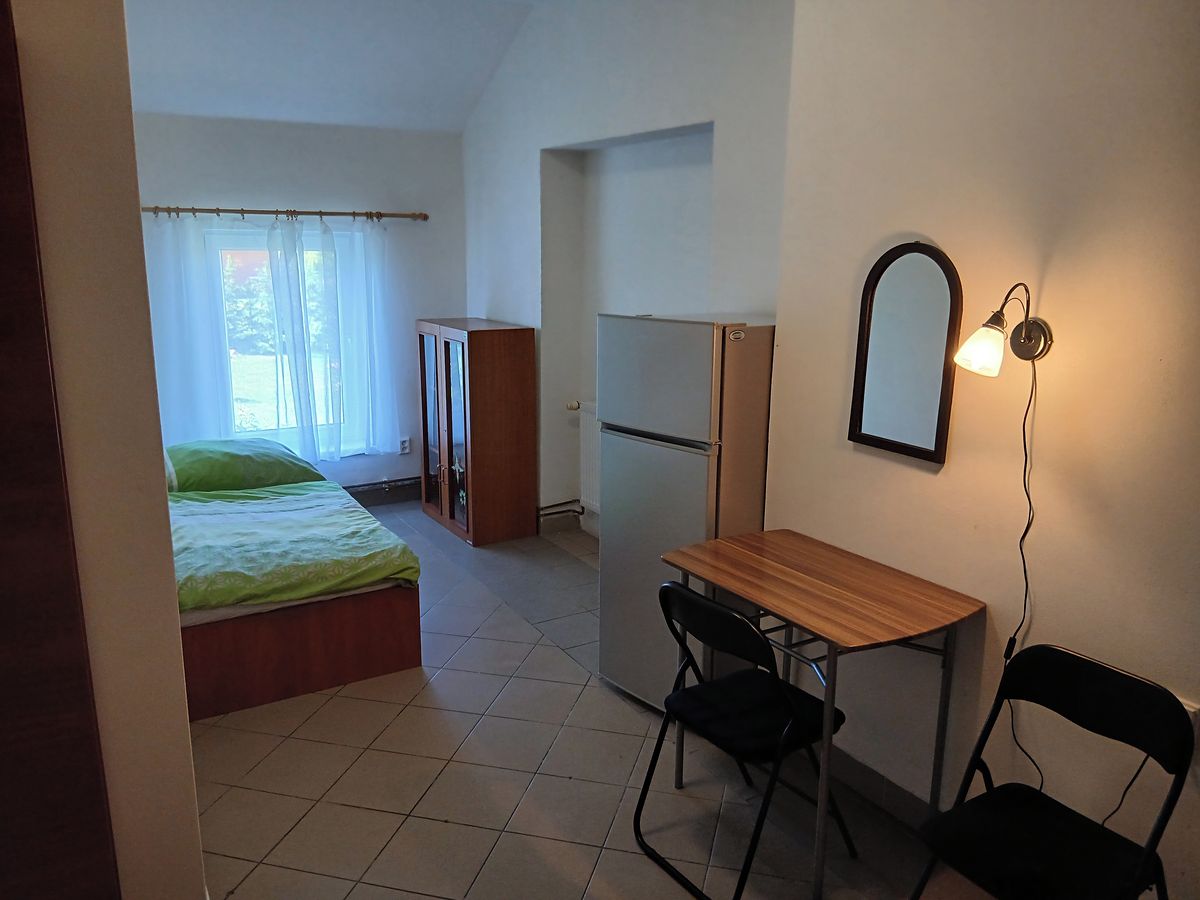 Pronájem bytu pokoje 20 m²