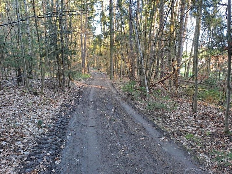 Grundstück zum Kauf, 3.017 m² (1 von 12)