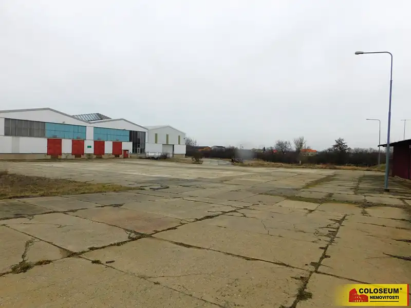 Pronájem pozemku 3500 m², Těšetice – náhled fotky 3