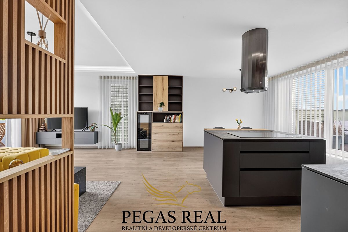 Prodej bytu 3+kk 120 m² – fotografie 3