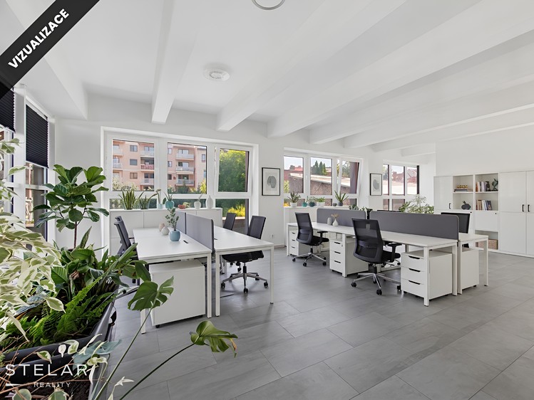 Pronájem komerčního prostoru, 538 m² (20 z 22)