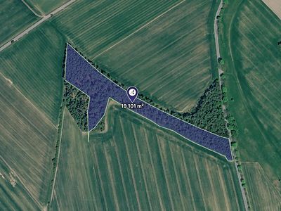 Prodej lesa 19101 m²