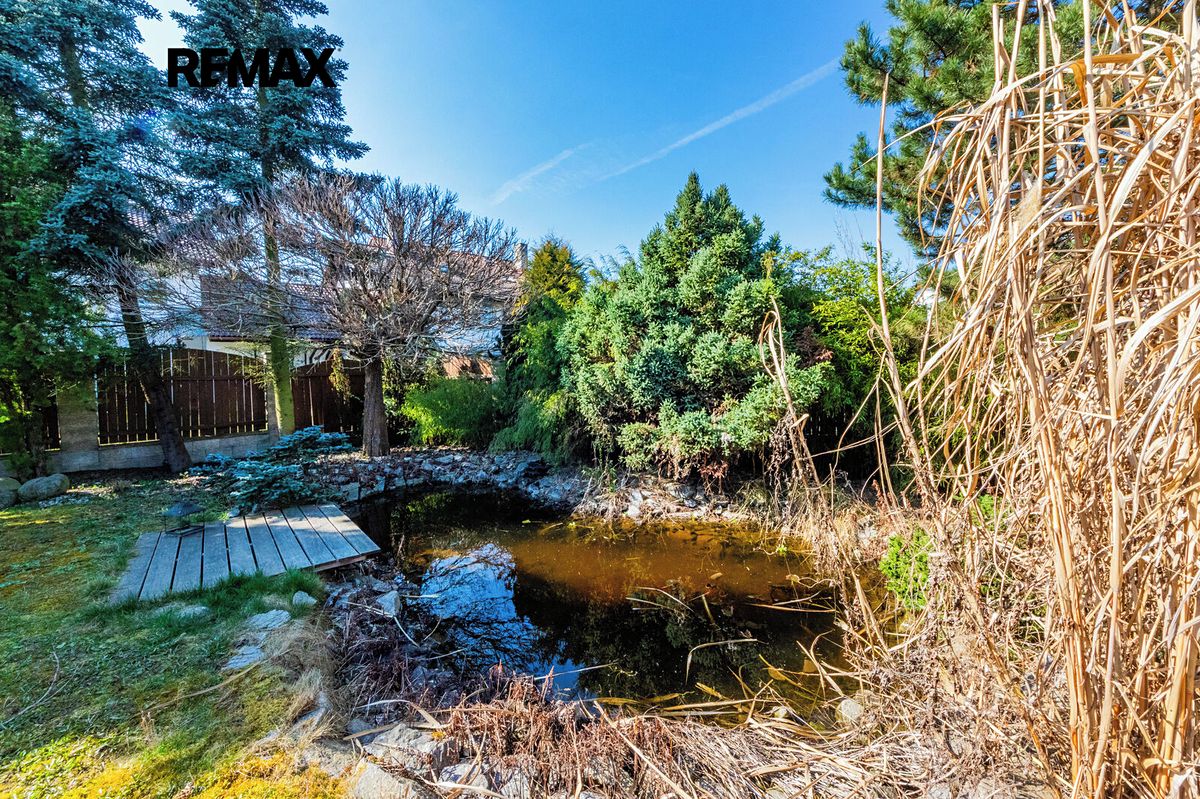 Prodej rodinného domu 433 m², pozemek 826 m² – fotografie 4