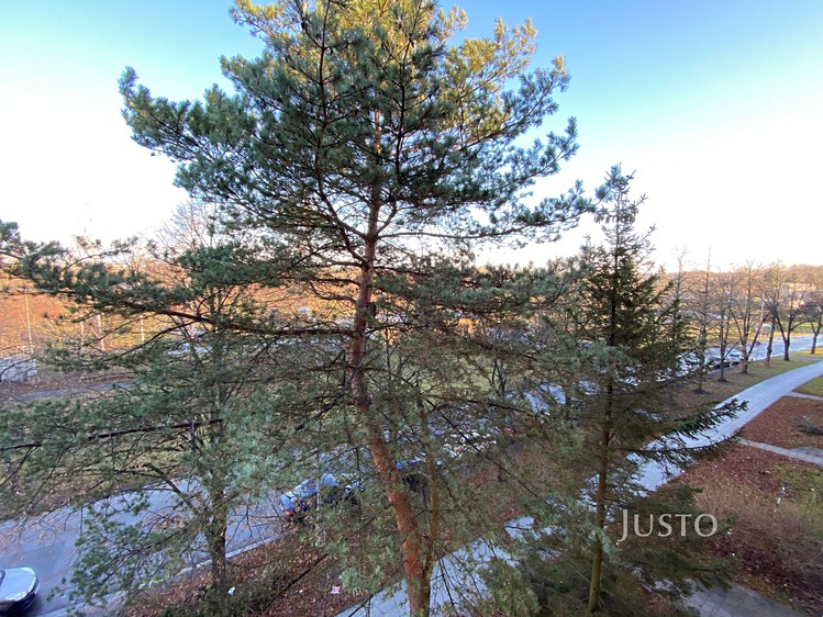 Pronájem bytu 2+1, 54 m² (12 z 15)