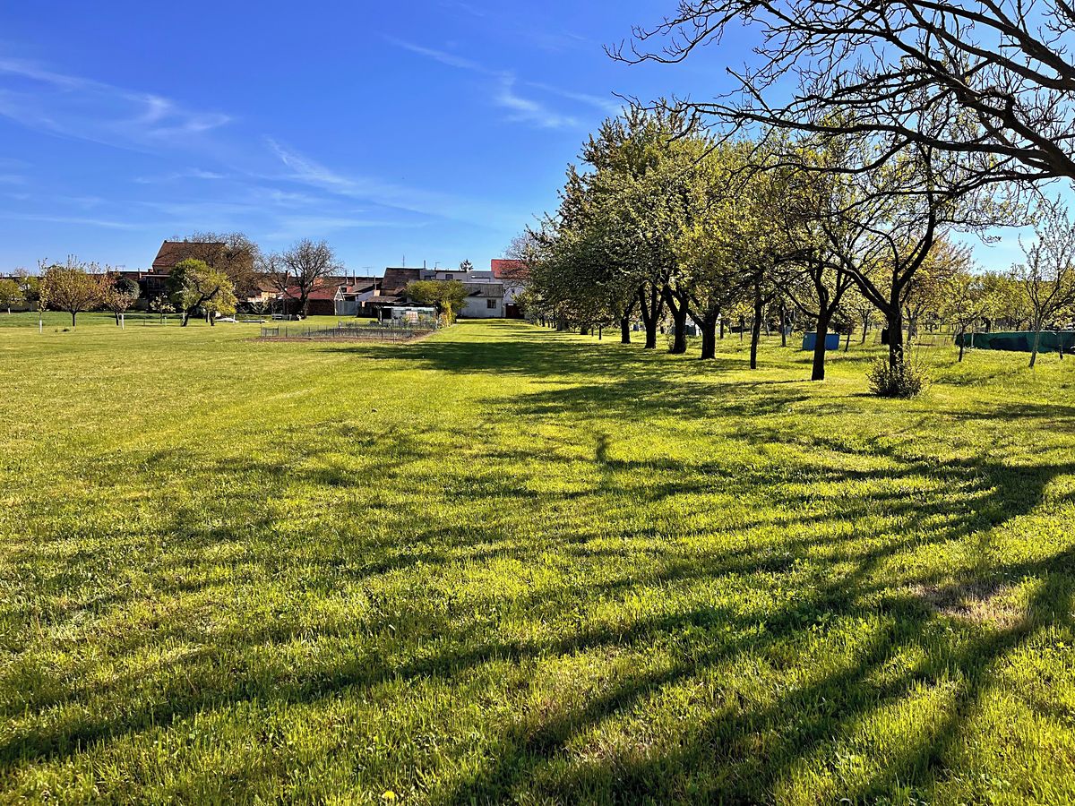 Prodej rodinného domu 253 m², pozemek 2162 m² – fotografie 3
