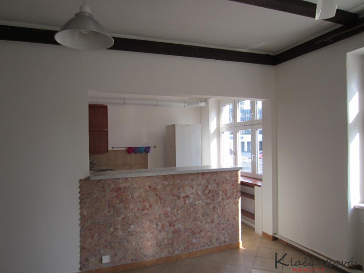 Wohnung 1+kk zur Miete, 45 m² (2 von 12)