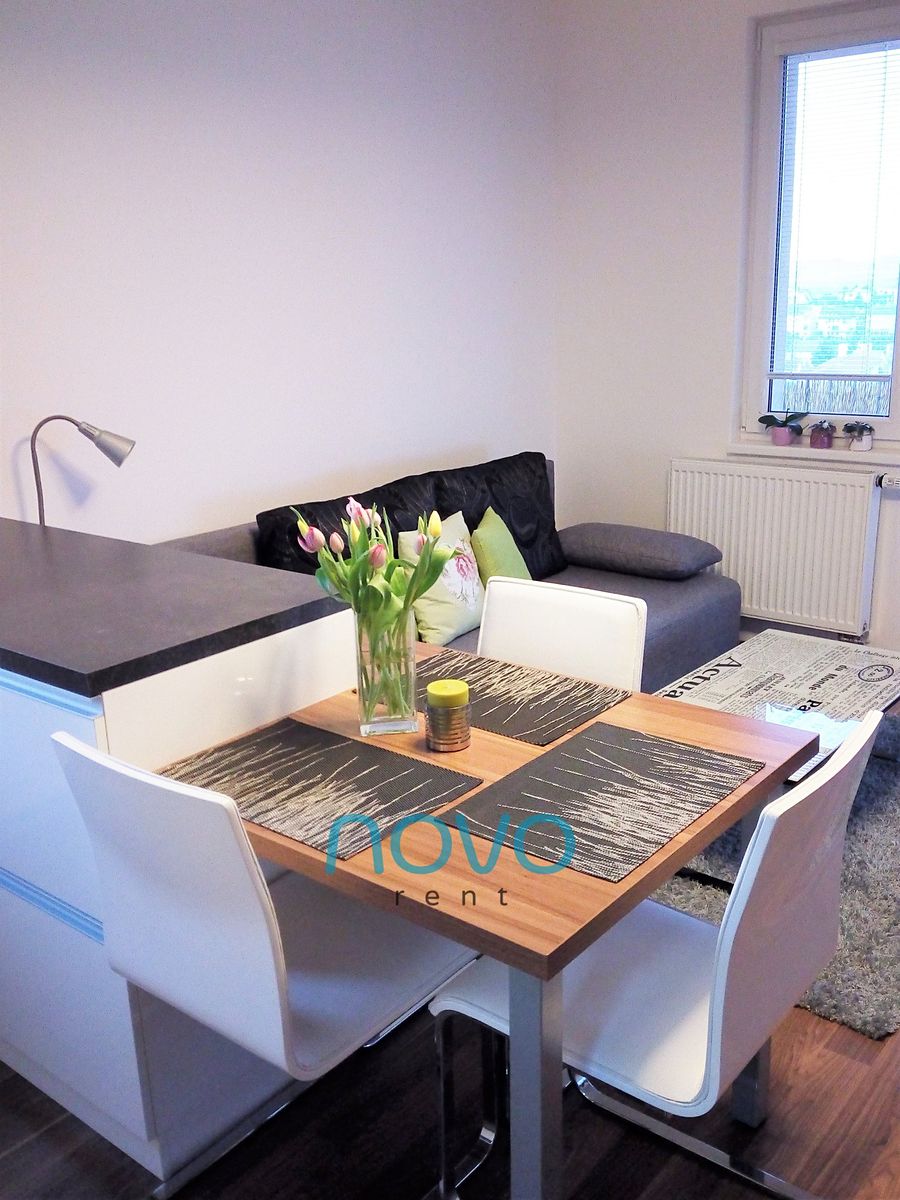 Pronájem bytu 1+kk 33 m² – fotografie 3