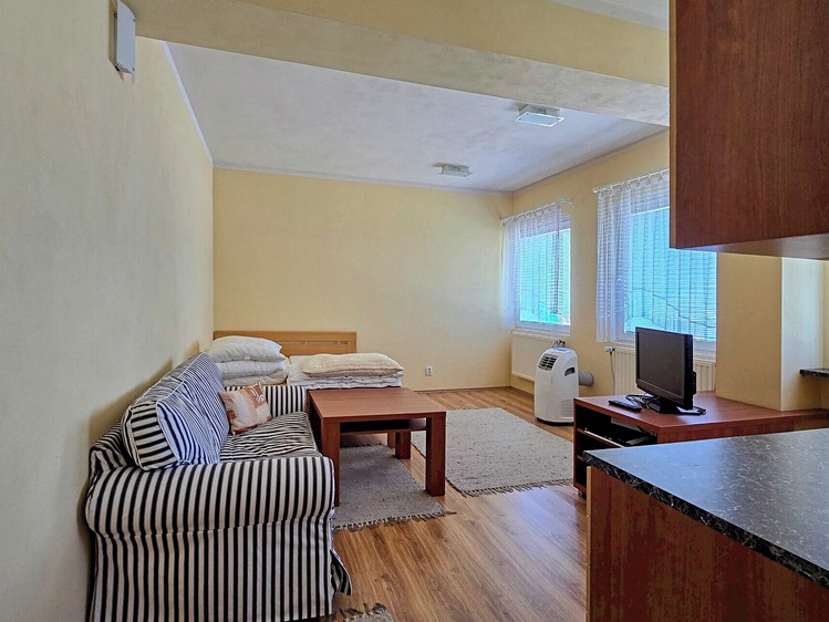 Pronájem komerčního prostoru, 156 m² (4 z 18)