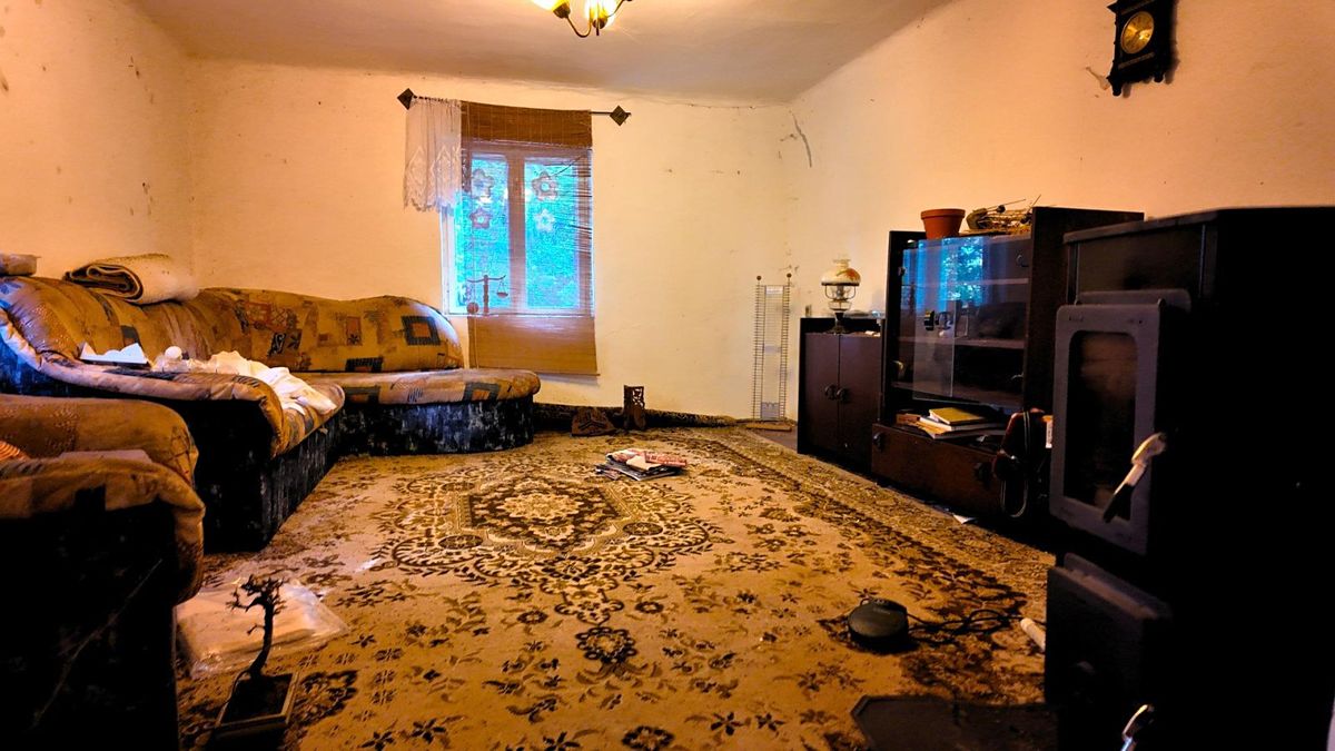 Prodej rodinného domu 170 m², pozemek 47086 m² – fotografie 4
