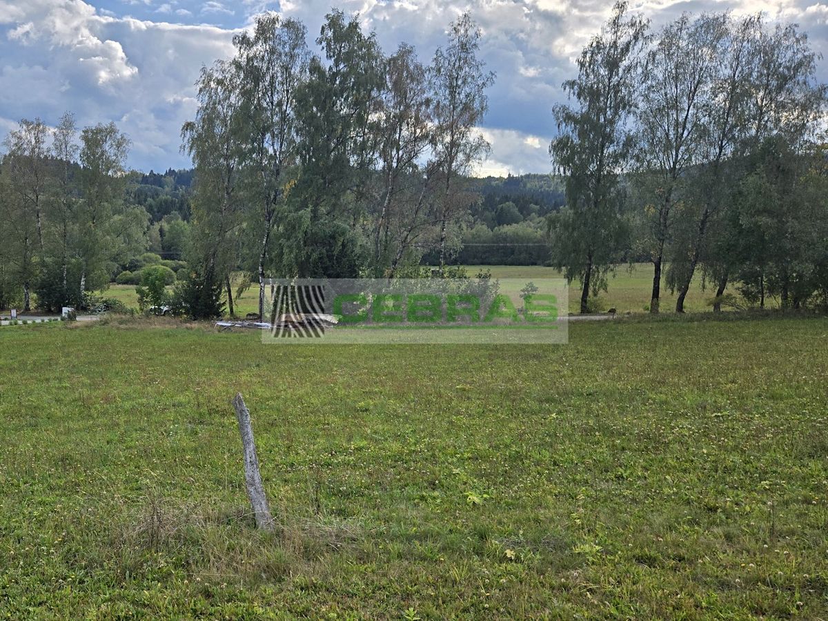 Prodej stavebního pozemku 1990 m² – fotografie 5