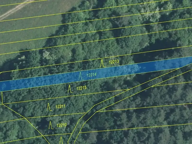 Dražba lesa 597 m², Strání – náhled fotky 2