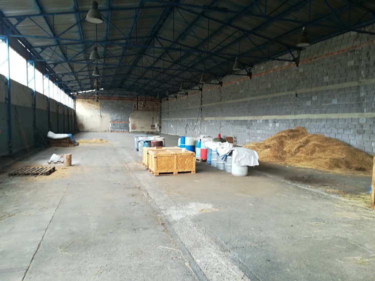 Pronájem komerčního prostoru, 977 m² (3 z 4)